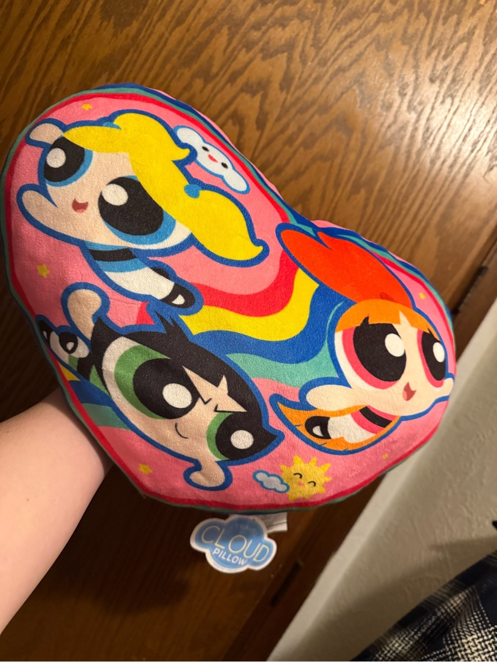Vintage 2000s Powerpuff Girls Heart Pillow 💗